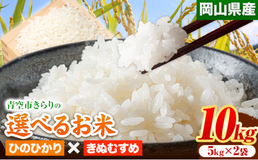 169. 令和5年産 青空市きらりの 選べるお米 10kg 岡山県産 食べ比べ ひのひかり×きぬむすめ 青空市きらり《30日以内に出荷予定(土日祝除く)》岡山県 矢掛町 白米 精米 米 コメ