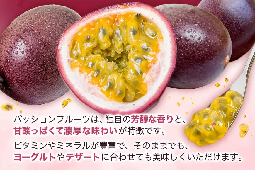 【 2026年 先行予約 】《 奄美大島産 パッションフルーツ 》 家庭用 1kg（12～15玉入り） A145-004 奄美大島産パッションフルーツ フルーツ 果物 トロピカルフルーツ 先行受付 事