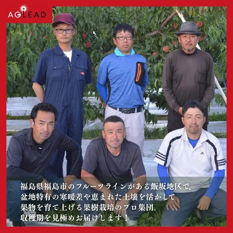 No.3403アグリード 福島のフルーツ2回定期便（桃・シャインマスカット）【2027年発送】