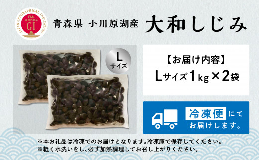 青森県 小川原湖産 冷凍 大和しじみ Lサイズ 2kg
