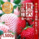 【ふるさと納税】【完熟クラフト苺BERRY】濃厚な樹上完熟イチゴ 1品種ずつ3回届くセット（白いちご＋赤いちご2品種）各約500g【出荷2024年12月上旬～2025年5月下旬】化粧箱入り | 食品 加工食品 人気 おすすめ 送料無料