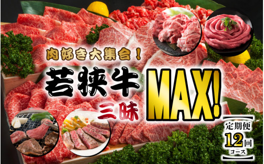 
【定期便 12回コース】 肉好き大集合！若狭牛三昧MAX！！ 定期便！！ [N-3202]
