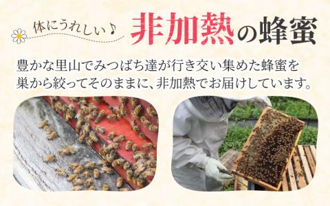 生はちみつ　180g×2本　滑川の里山で採れた非加熱の蜂蜜（百花蜜）