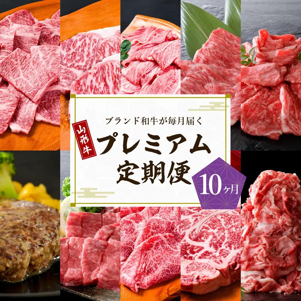 定期便 10ヶ月 山形牛 最高級 5等級のみ 山形牛 定期便