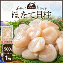 【緊急支援品】北海道産 ほたて 貝柱 500g 4Sサイズ 新鮮 肉厚 食感 食べごたえ抜群 甘い 冷凍 刺し身 海鮮丼 バター焼き オホーツク産 海鮮 魚介類 貝 中国禁輸 生食用 ほたて貝柱 お取り寄せ 送料無料 北海道 余市町