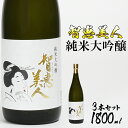 【ふるさと納税】中野酒造　清酒「智恵美人　純米大吟醸酒」1800ml 3本セット 日本酒＜105-033_5＞