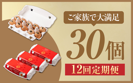 【12ヶ月定期便】烏骨鶏卵 モールド 30個セット | 烏骨鶏 卵 たまご 烏骨鶏卵