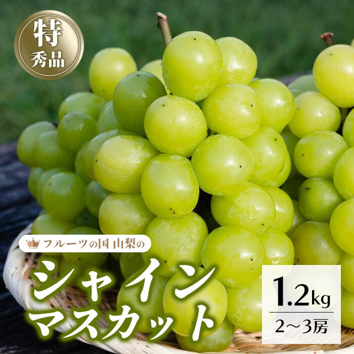 【ふるさと納税】＜25年発送先行予約＞シャインマスカット 約1.2kg 2～3房 154-007 | フルーツ 果物 高評価 人気 ランキング おすすめ 甘い 美味しい デザート 数量限定 送料無料 山梨県産 笛吹市　種なしぶどう 「販売」 KEIPE株式会社