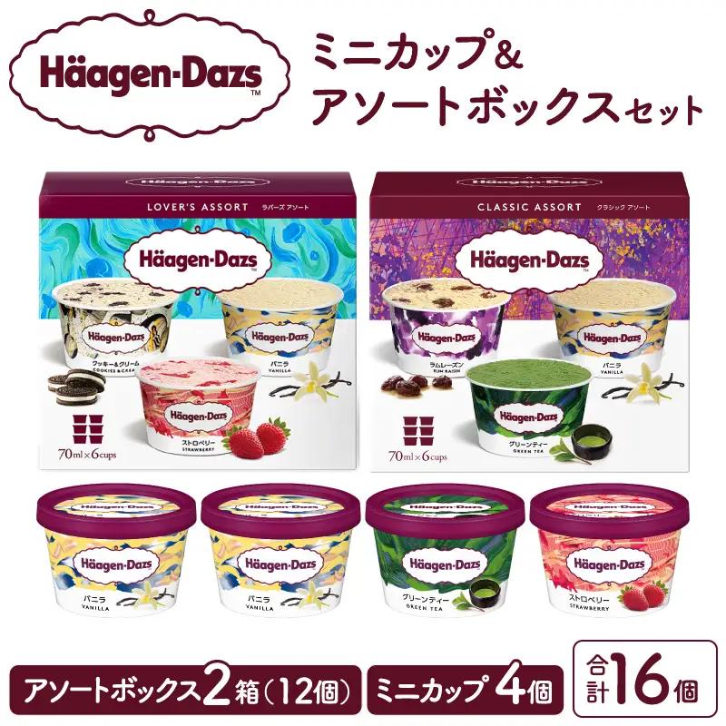 ハーゲンダッツ アイスクリーム バラエティセット アイス_H0026-102