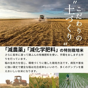 SD0204　12月中旬配送／令和7年産【精米】　特別栽培米『はえぬき』 10kg(5kg×2袋)［減農薬・減化学肥料］ MA