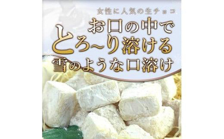 訳あり 自分チョコ 濃厚ホワイト生チョコレート　約350ｇ BQ07-FN