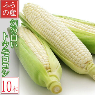 【ふるさと納税】26年先行予約　早採り ハウス栽培　幻の白いトウモロコシ　ピュアホワイト　10本【配送不可地域：離島】【1642176】