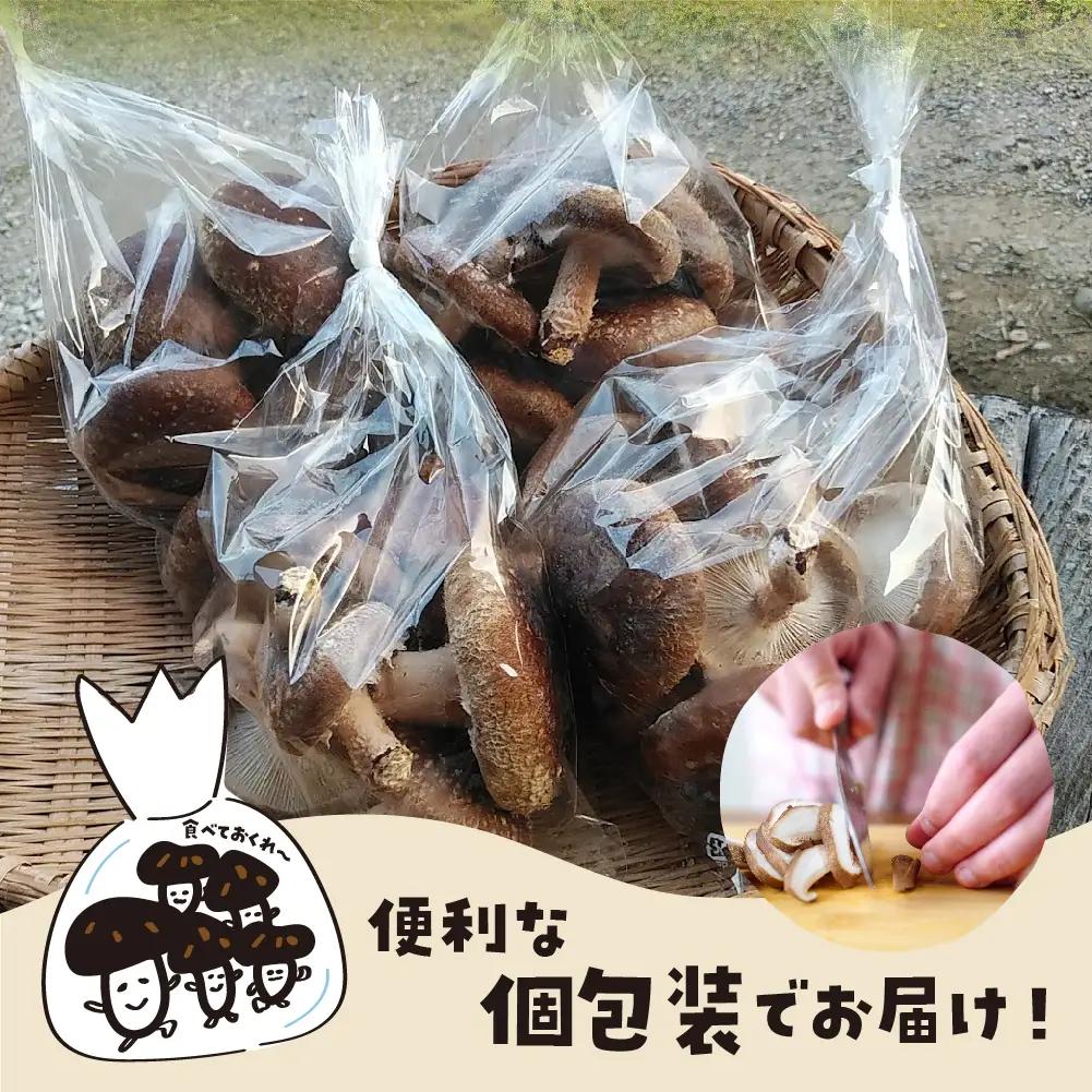 《先行予約》 しいたけ 200g×4 / しいたけ 野菜 訳あり