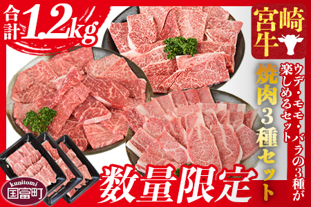 ★数量限定★＜宮崎牛 焼肉 3種セット（ウデ・モモ・バラ）合計1.2kg＞翌々月末までに順次出荷【 牛 肉 牛肉 宮崎牛 和牛 黒毛和牛 ウデ モモ バラ 焼肉 BBQ ミヤチク -】