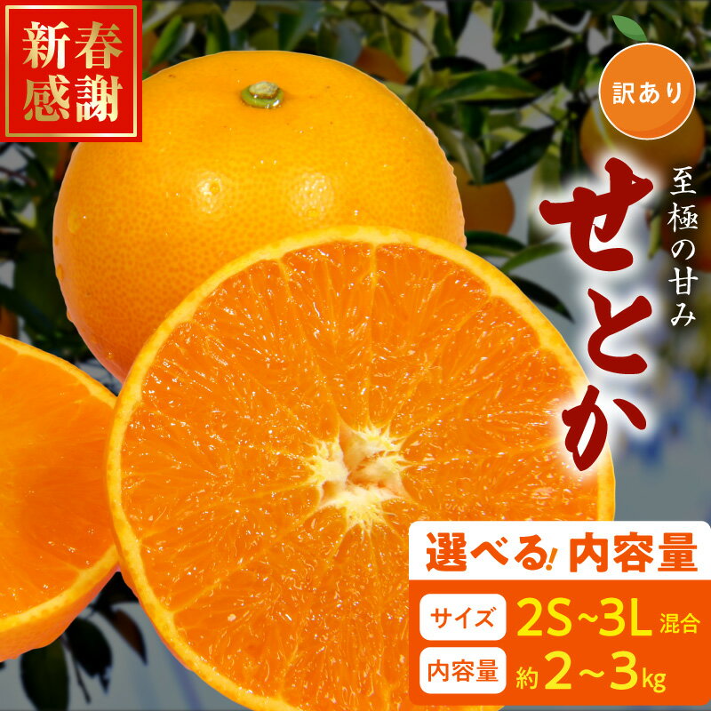 【ふるさと納税】【限定】 訳あり せとか 2S〜3L 選べる 内容量 約2kg 約3kg サイズ混合 ブランド 有田産 味 深み 濃厚 果汁 国産 果物 フルーツ 果実 食品 食べ物 おやつ デザート お取り寄せ お取り寄せフルーツ 和歌山県 湯浅町 送料無料