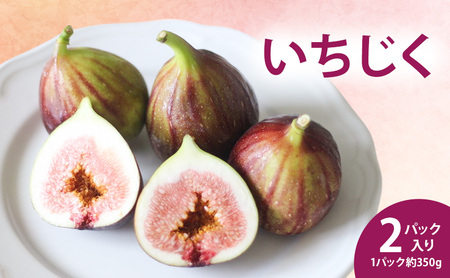 いちじく2パック入り 約350g×2パック 果物 フルーツ いちじく イチジク 無花果 食物繊維 ペクチン 貧血予防 鉄分 サラダ マリネ 国産 浜松市 静岡 【配送不可：北海道・沖縄・離島】 