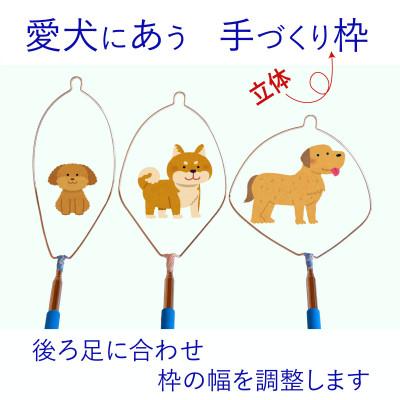 ふるさと納税 防府市 らふーんミニ  【手作りキット】 特許で手が汚れない 愛犬専用でクセになるフンキャッチャー |  | 02