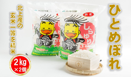 【 特別栽培米 】R7年産 北上産 お米 100％ 精米したての しらゆり米 ( ひとめぼれ ) 4kg 小分け ( 2kg ×2袋 ) 国産 岩手県 北上市 D0557 JA 産直 あぜみち 米 コメ 精米