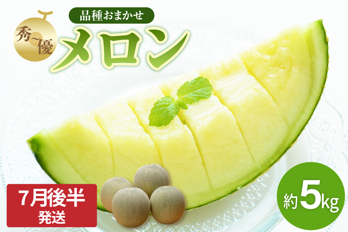 【2026年先行予約】メロン 約 5kg 秀～優  ( 青肉 3～6玉 ）【2026年7月後半発送】【 津軽産 青森 緑肉 青肉メロン 】