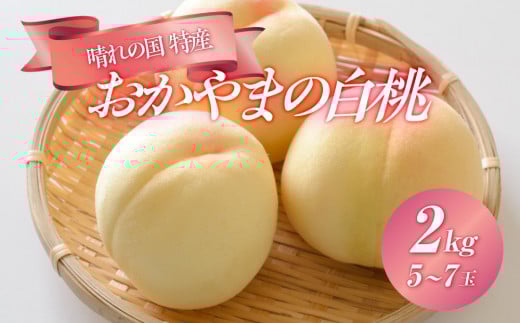 
桃 2025年 先行予約 晴れの国 特産 ！ おかやまの 白桃 2kg（5玉～7玉） もも モモ 岡山県産 国産 フルーツ 果物 ギフト
