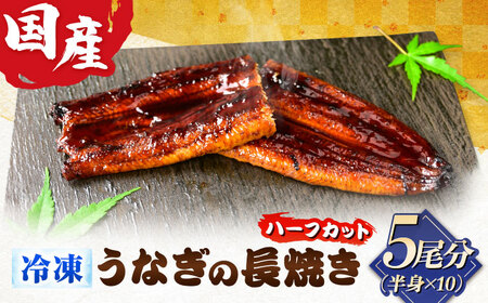 うなぎ うなぎ長焼き 1/2尾×10パック(5尾分) [ANHH006] うなぎ