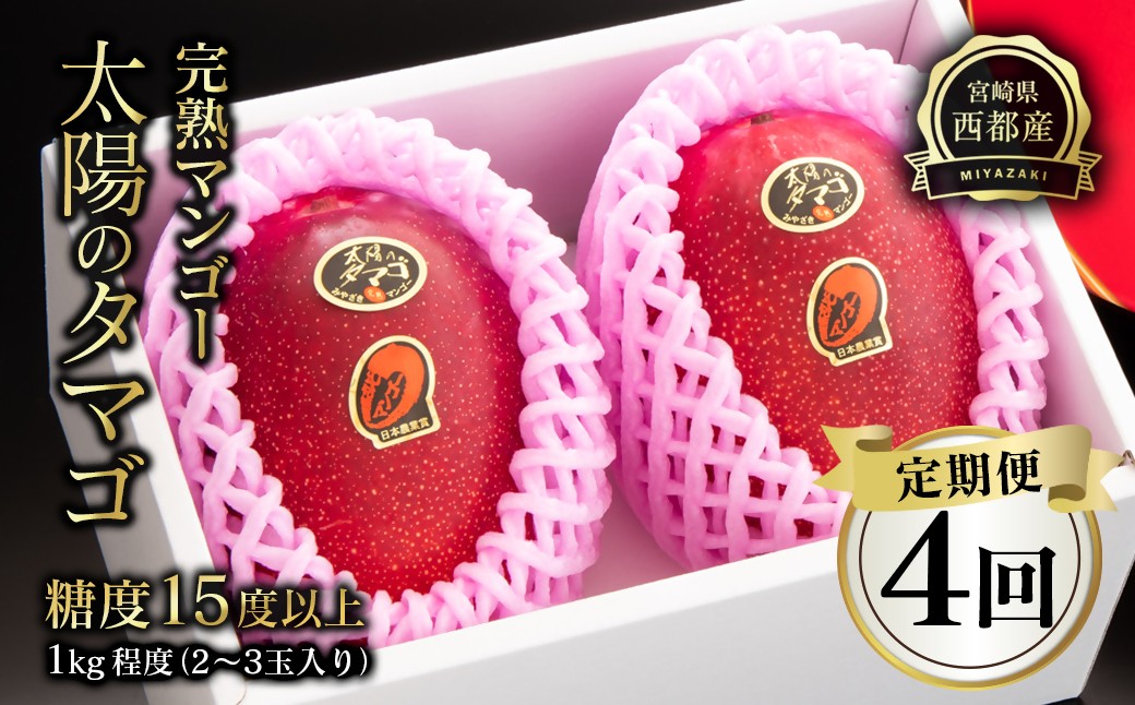 
                  【定期便 4回お届け】 最高級ブランド『太陽のタマゴ』2～3玉入り　約1kg　宮崎県西都市産完熟マンゴー【先行予約】2027年発送 宮崎完熟マンゴー 果物 フルーツ ＜1-11a＞
                
