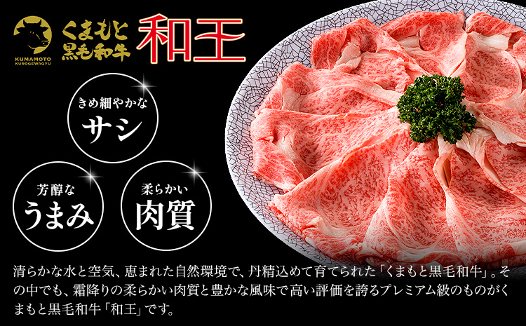 熊本県産 黒毛和牛 サーロイン ステーキ 計600g（200g×3）《90日以内に出荷予定(土日祝除く)》 国産 牛肉---039-2008--