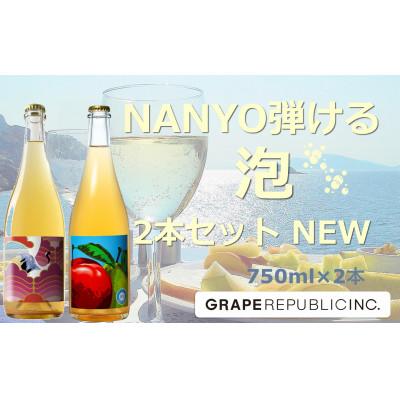 ふるさと納税 南陽市 NEW NANYO弾ける泡セット 750ml×2本 『(株)グレープリパブリック』 【S2337】