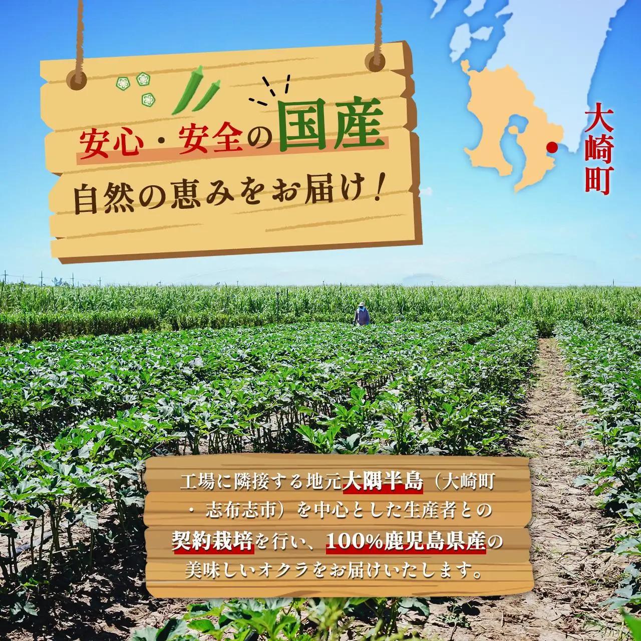 【定期便】鹿児島県産　冷凍 スライス オクラ　（150g×6パック）×6回| オクラ