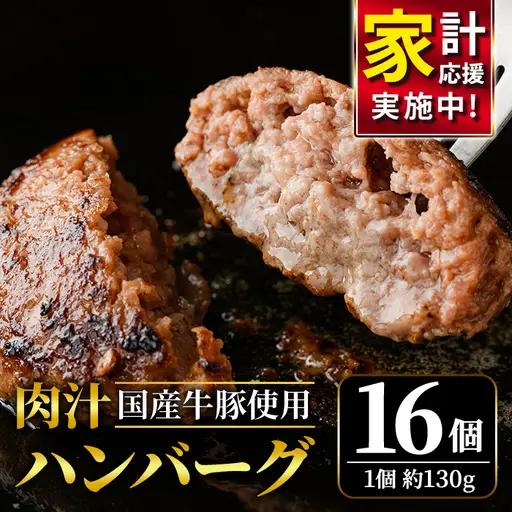 ハンバーグ 国産 合挽き 16個 【ハンバーグ】 【ho1387】