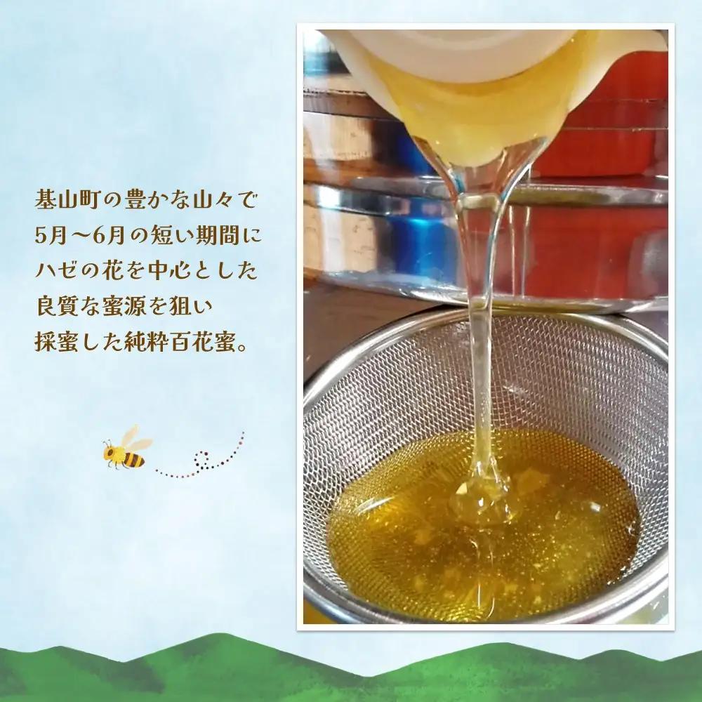 【3か月定期便】みよしのハチミツ(百花蜜) 220g×2本(計220g×6本) K063415