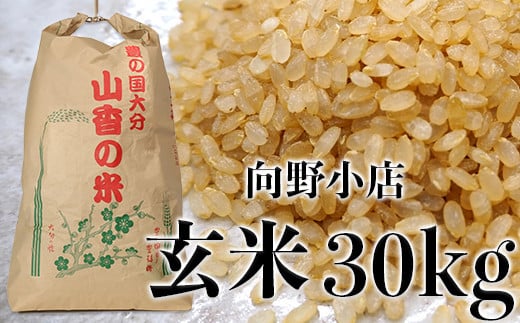 【令和6年産新米／令和6年10月中旬より順次発送】杵築市山香町 向野小店の思いやり米30kg（玄米） 米 玄米 30kg ＜055-004_6＞