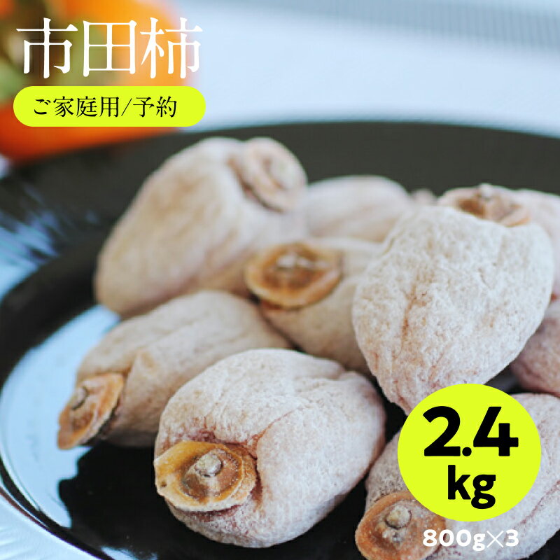 【ふるさと納税】信州の特産品「市田柿」ご家庭用 800g×3袋セット 〈2026年1月上旬～2月下旬発送〉 | 果物 くだもの フルーツ 柿 かき 干し柿 市田柿 長野県 信州 南信州 飯田市 B06