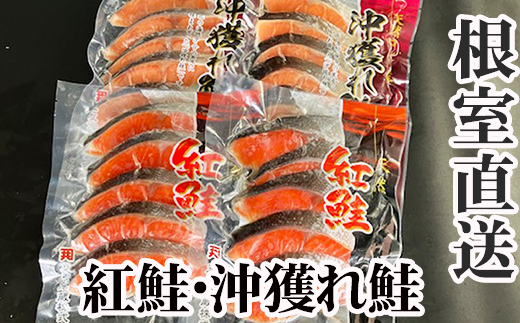 
                  A-70007 甘塩紅鮭5切×2P、甘塩沖獲れ鮭5切×2Pセット
                