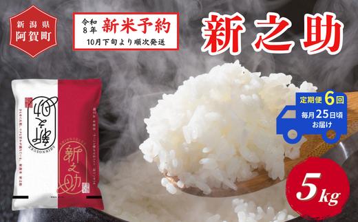 《令和8年産　新米予約》【定期便 全6回】米 5kg×6回 (計30kg) 新潟県阿賀町 津川産 新之助 令和8年産 精米 白米 30キロ 新潟県産コシヒカリ 新潟県産こしひかり 新潟県産 コシヒカリ こしひかり ごはん ご飯 新潟県 阿賀町