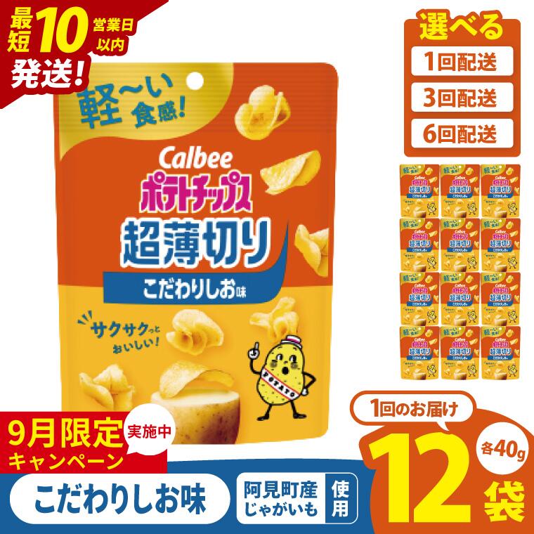 【ふるさと納税】【9月限定価格】【選べる定期便回数】【10営業日以内に出荷】カルビー ポテトチップス 超薄切りこだわりしお味 40g×12個｜Calbee お菓子 菓子 おやつ おかし ぽてち ポテチ スナック おつまみ ジャガイモ じゃがいも（93-100）