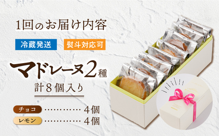 【3回定期便】チョコマドレーヌ レモンケーキ 各4個 計8個セット [EBV034]  チョコ マドレーヌ まどれーぬ レモンケーキ れもんけーき 焼菓子 スイーツ おやつ セット 定期 定期便