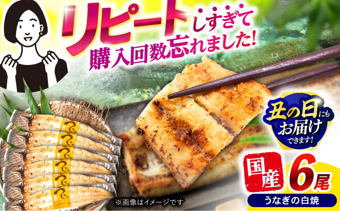 【最速発送】＜諫早淡水＞うなぎ白焼き6尾 / うなぎ ウナギ 鰻 白焼き 白焼 しらやき 冷凍 国産 小分け / 諫早市 / 活うなぎ問屋 諫早淡水 [AHAT013] スピード 最短 最速 発送