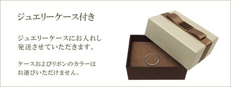 【K10WG】馬蹄 1石 ダイヤモンド プチネックレス　J-509