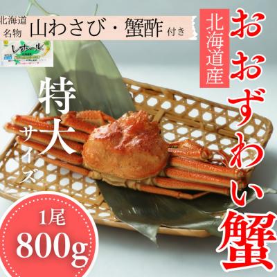 ふるさと納税 紋別市 【北海道産】特大サイズ オオズワイガニ姿　800g以上1尾 | 蟹酢・山わさび付　かに　おおずわいが