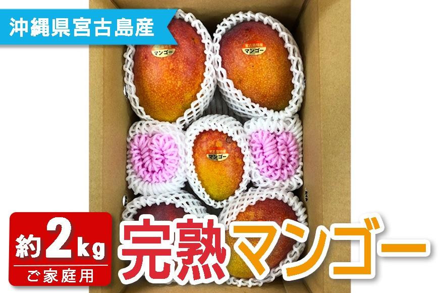 
            ★品切れ★FQ012　【宮古島産マンゴー】ご家庭用 2kg（4-6玉）マンゴーファーム宮古島
          