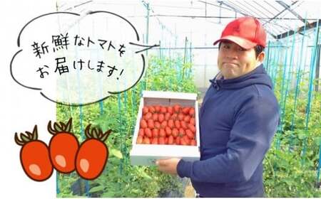 『かめまる農園』ミニトマト アイコ 3kg 熊本県玉名市産