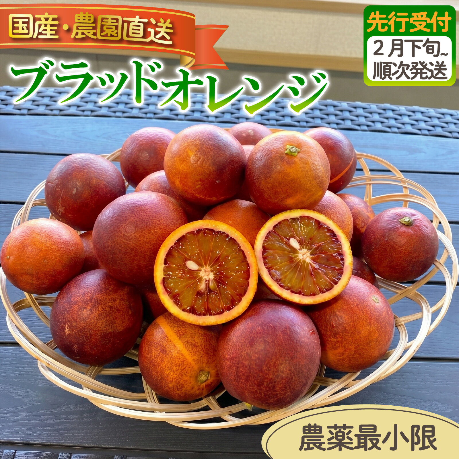 【ふるさと納税】 訳あり 西浦 国産 ブラッドオレンジ 3kg 5kg 選べる容量 ｜ 木負観光みかん園 柑橘 ブラッド オレンジ フルーツ 旬 果物 国産 産地直送 季節限定 西浦 沼津市 静岡県