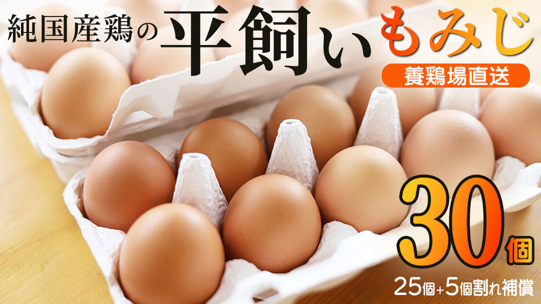 【純国産鶏もみじ】平飼い卵30個入り (破損保証5個含む) (AJ023) 30個