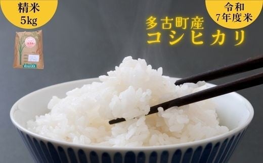 
            千葉県 多古町産 米 コシヒカリ 令和7年産 精米 5kg 国産 お米
          