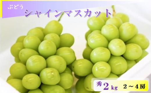 08-04-003　ぶどう(シャインマスカット)2kg