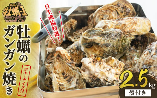 日生漁協特選！ガンガン焼きセット（殻付き2.5kg）