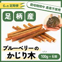 【ふるさと納税】【定期便6ヵ月】足柄産ブルーベリーのかじり木100g×6回＜毎月お届け＞【 ペット 神奈川県 南足柄市 】