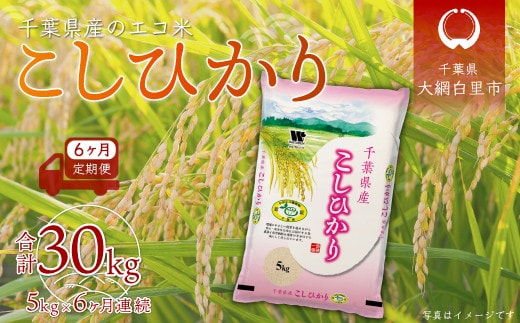 
										
										＜6ヶ月定期便＞千葉県産エコ米「コシヒカリ」5kg×6ヶ月連続 計30kg ふるさと納税 米 定期便 5kg コシヒカリ エコ米 千葉県 大網白里市 送料無料 A023
									