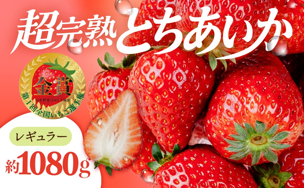 
                  いちご 「茂木完熟いちご」　いちご選手権金賞 とちあいか レギュラーサイズ 約270g × 4パック 合計 約1080g【選べる発送月】 | いちご イチゴ 苺 ストロベリー とちあいか 完熟 甘い あまい 第１回いちご選手権金賞 果物 フルーツ くだもの strawberry ichigo itigo 旬 産地直送 栃木県産 美土里農園 栃木県 茂木町
                